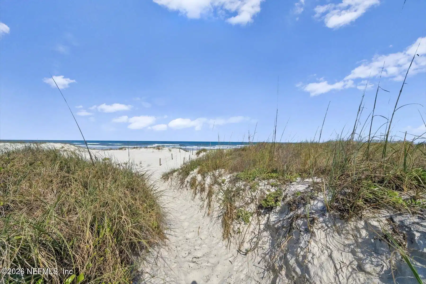 Image 1: Hibiscus.Sand Dunes to Beach