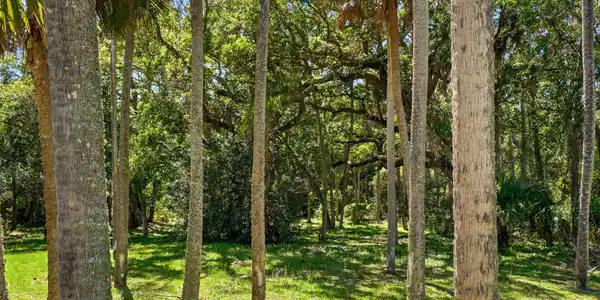 Image 3: 2428 seminole rd lot-11