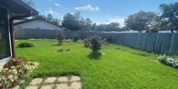Image 4: Backyard view