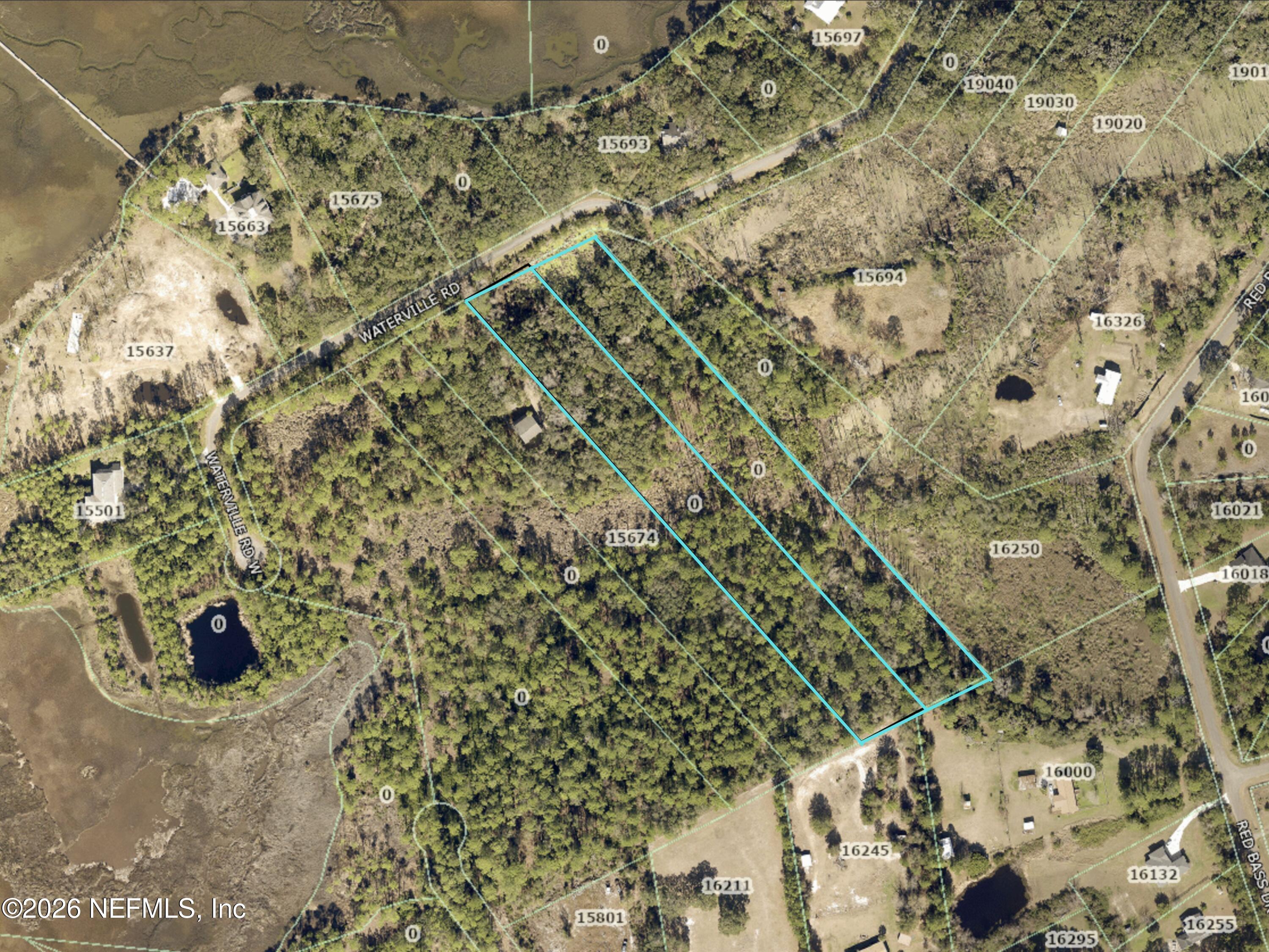 Image 4: Birds Eye
