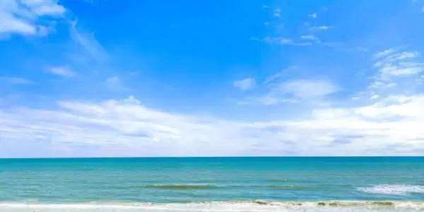 Image 3: 2682 Ocean Shore Blvd 202-55