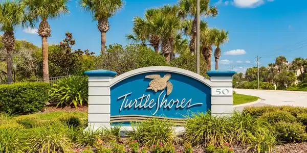 Image 2: Turtle Shores stock-16