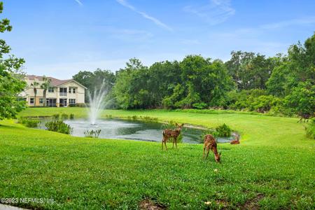 25 RIVERVIEW BEND