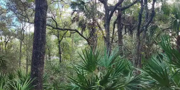 Image 3: 20231104_093617