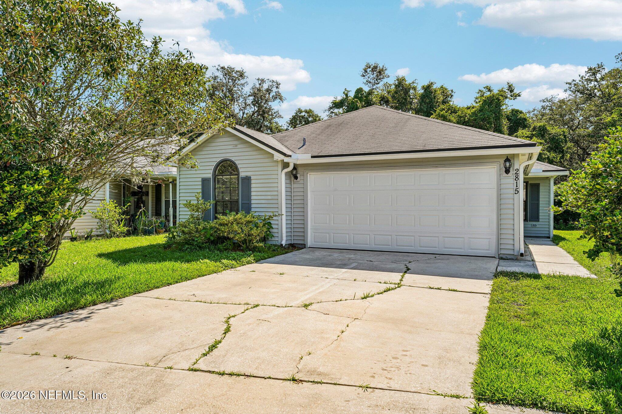 Image 1: 2815 Majestic cypress