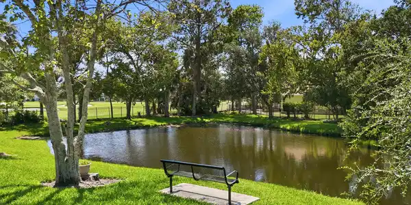 Image 2: Peaceful Pond View from Back Porch