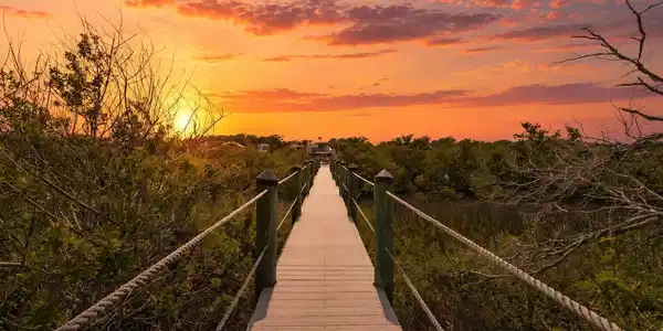 Image 2: Sunrise over the boardwalk