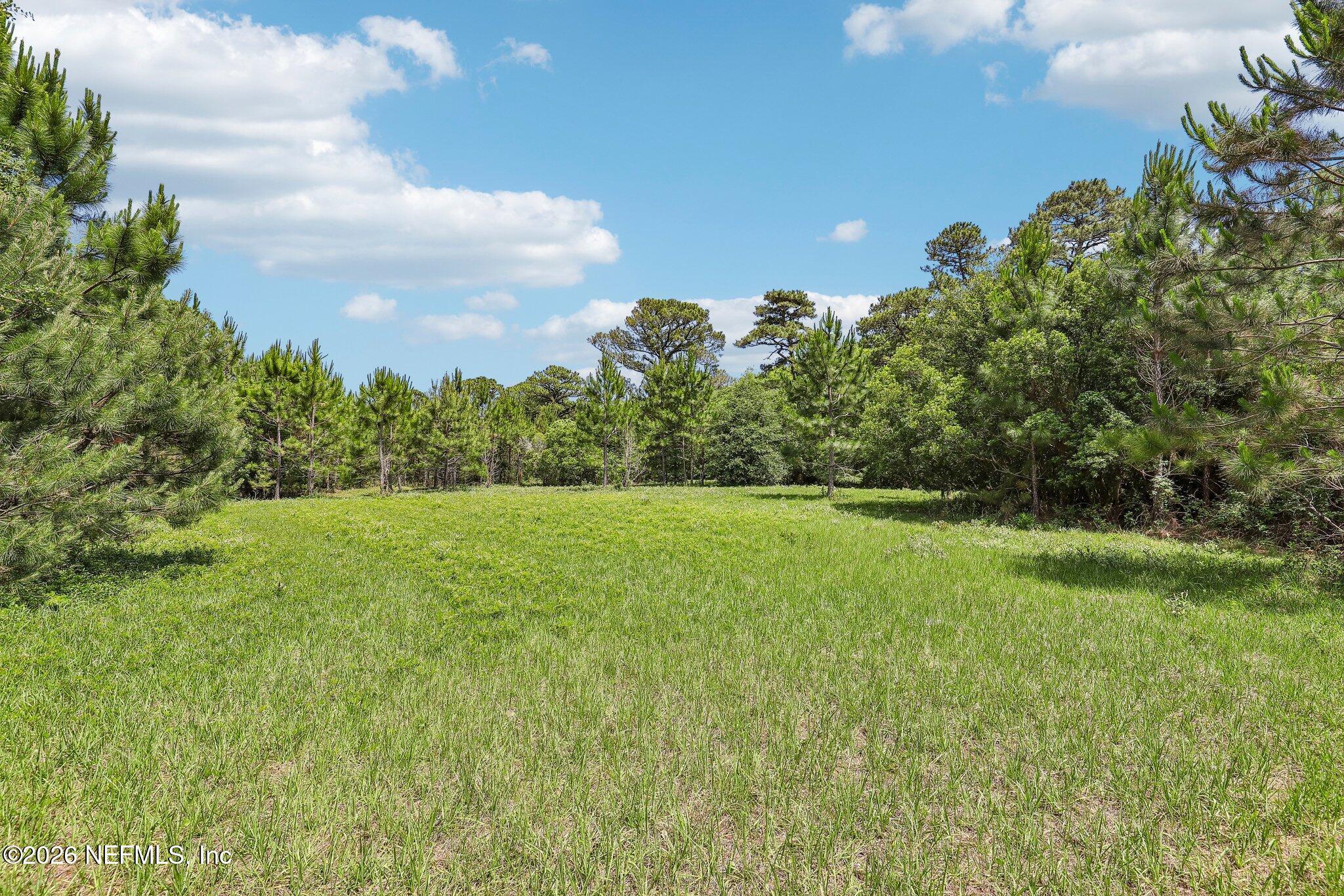 Image 3: pasture