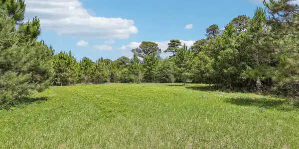 Image 3: pasture