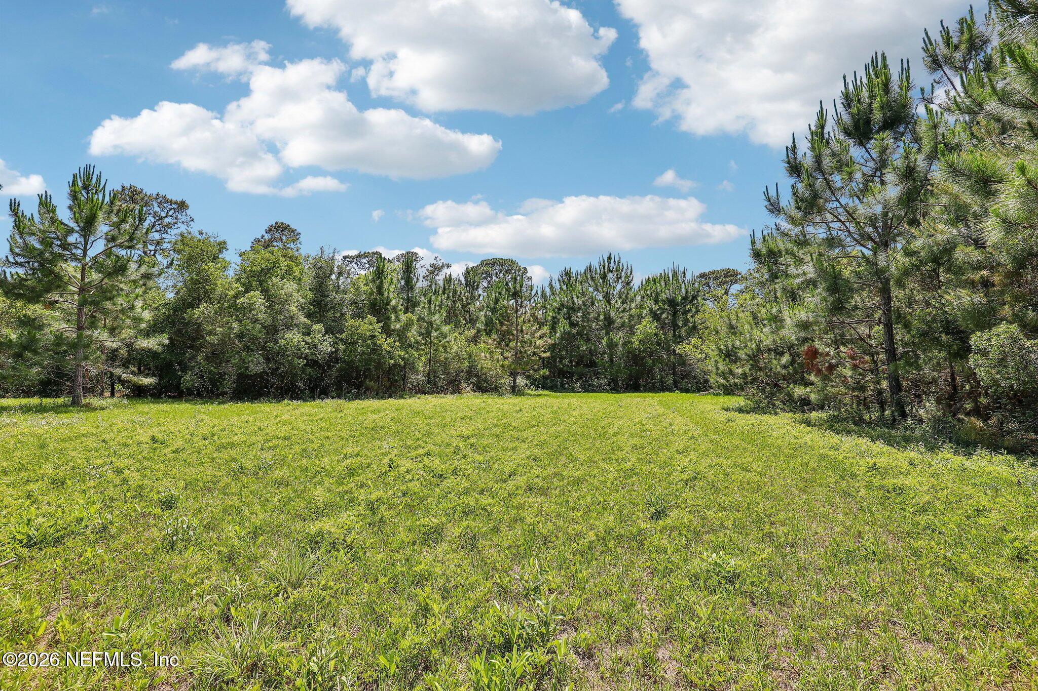 Image 4: pasture