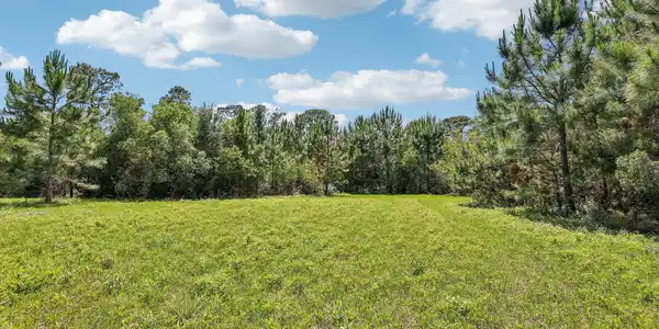 Image 4: pasture