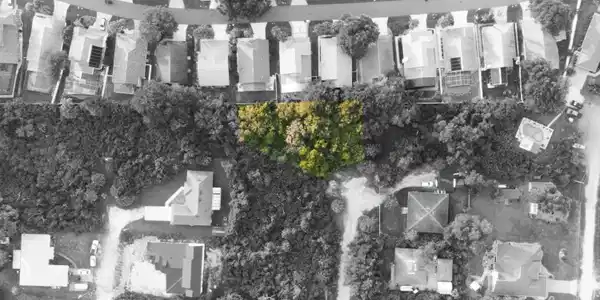 Image 2: Color separation 14 Ulmacea Pl