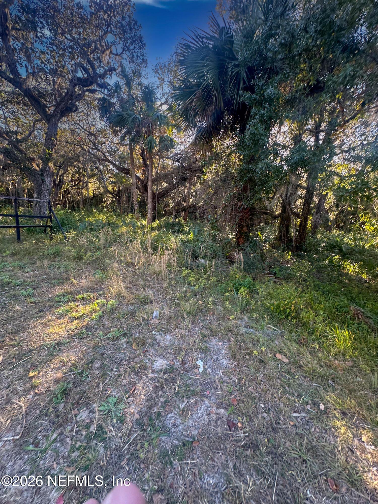 Image 4: 4