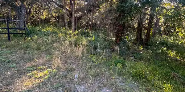 Image 4: 4