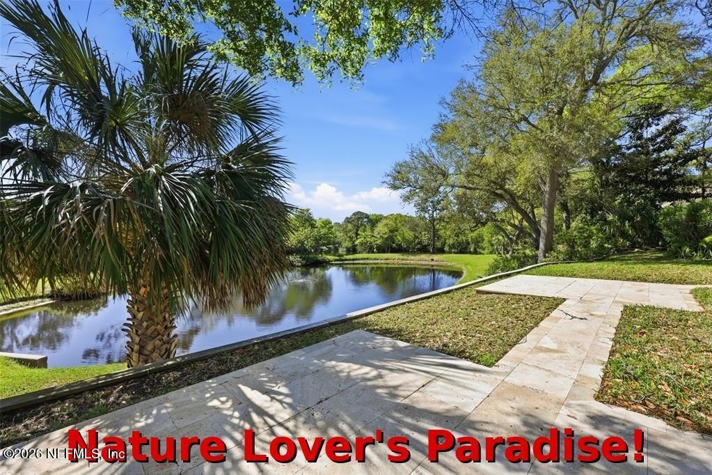 Image 2: nature_paradise_annotated
