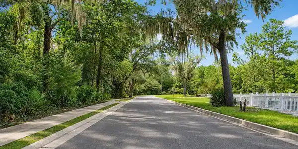 Image 3: road 2