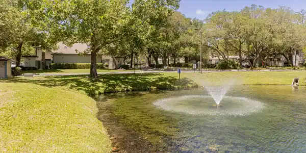 Image 2: 1403 defender ct tree canopy with pond