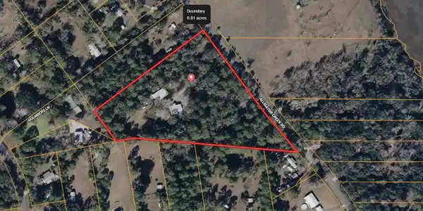 95291 ALLIGATOR CREEK Road