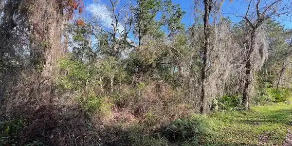 95001 DIRT Road