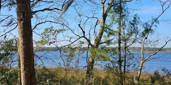 Image 4: Owner's Photo Lanceford Creek