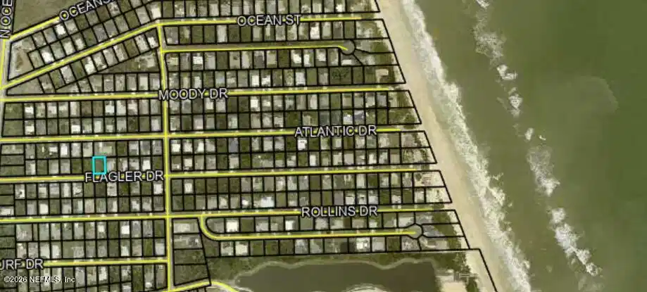 Image 1: Flagler photo
