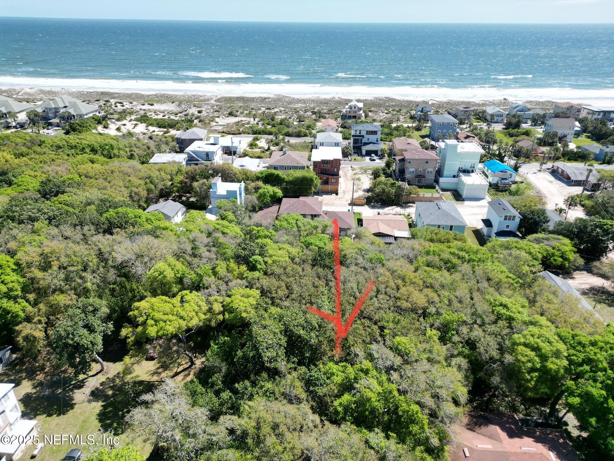 Image 3: dji_fly_20240219_001350_130_172074936994