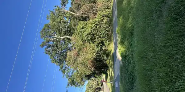 0 AVERY Road