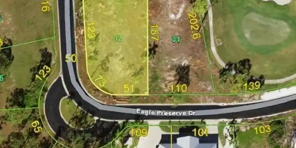 10140 EAGLE PRESERVE Drive