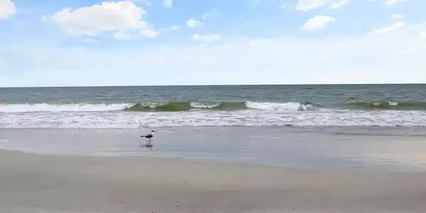 Image 2: 205 Seaside Vista - Beach-Ocean