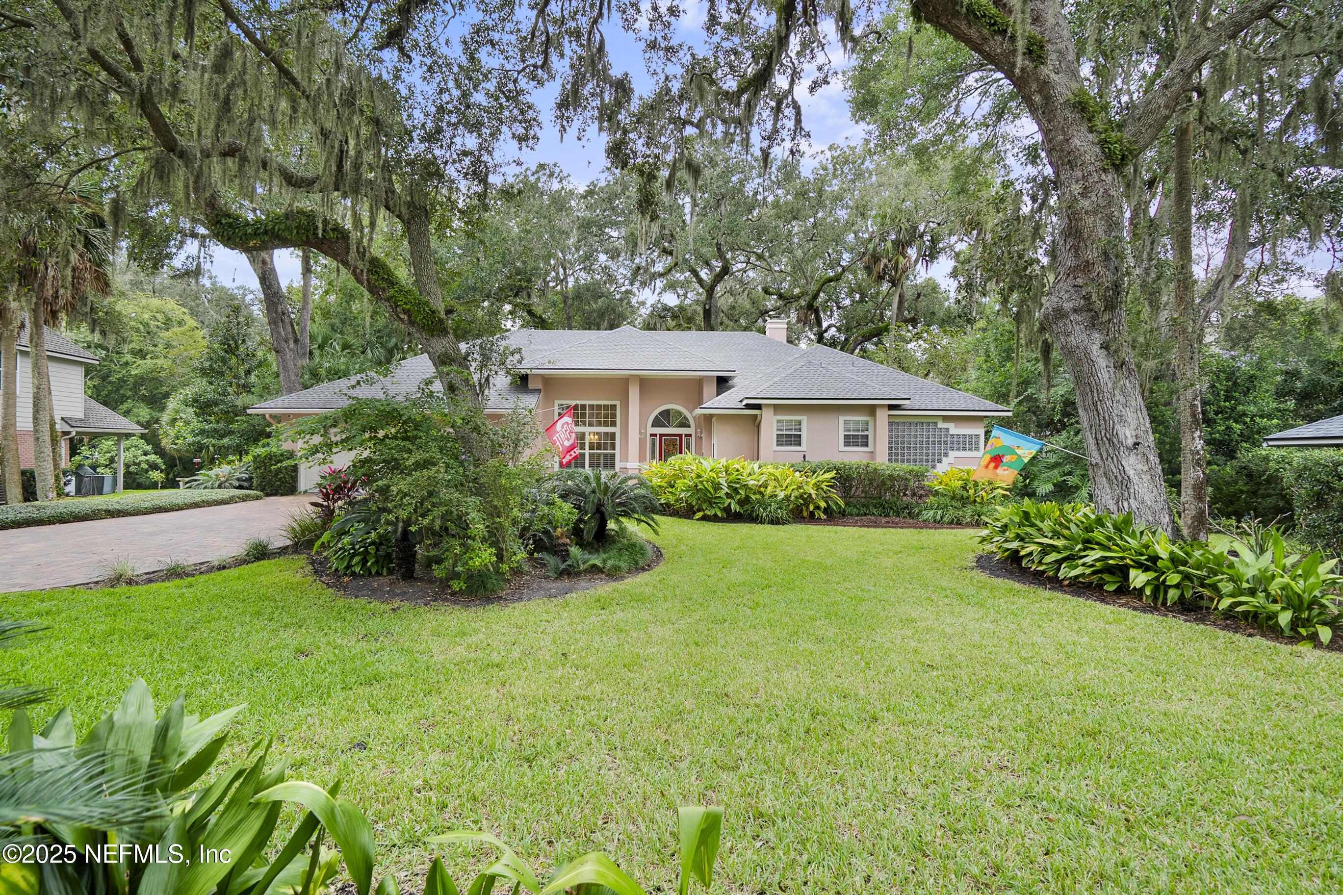 Image 2: 01-DSC07541 copy