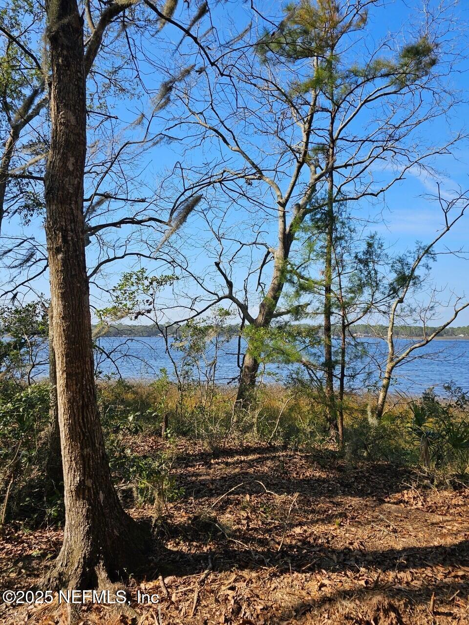 Image 4: Owner's Photo Lanceford Creek