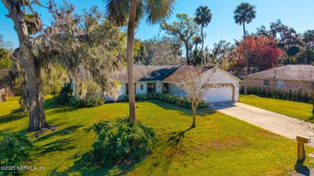 2019 ORANGE TREE Drive