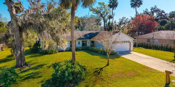 2019 ORANGE TREE Drive