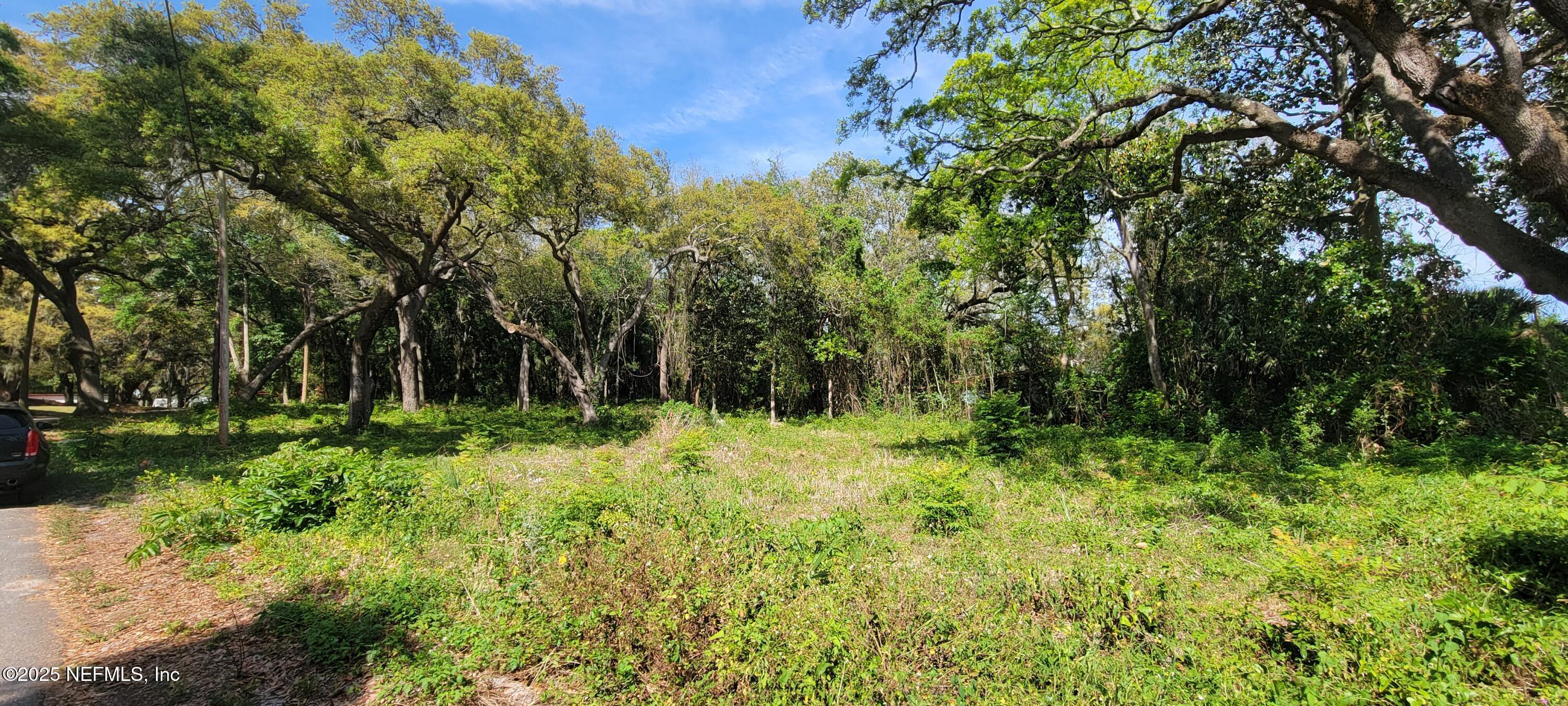 Image 3: 20250501_161628