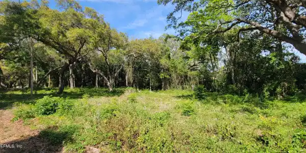 Image 3: 20250501_161628