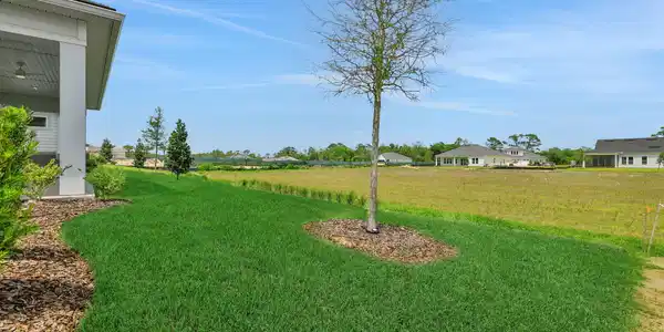 Image 4: 8-web-or-mls-036A9484