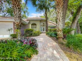 451 SNAPPING TURTLE CT W