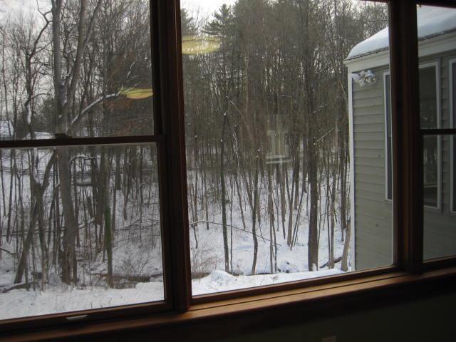 Image 4: LR backyard views Image 4: LR backyard views