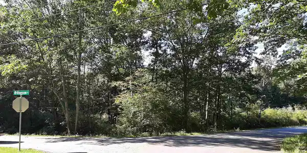 Image 4: Image 4 Image 4: Image 4