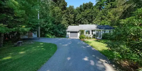 316 Ash Swamp