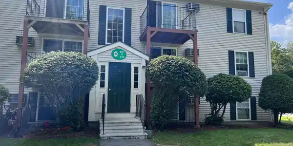 412 White Cedar