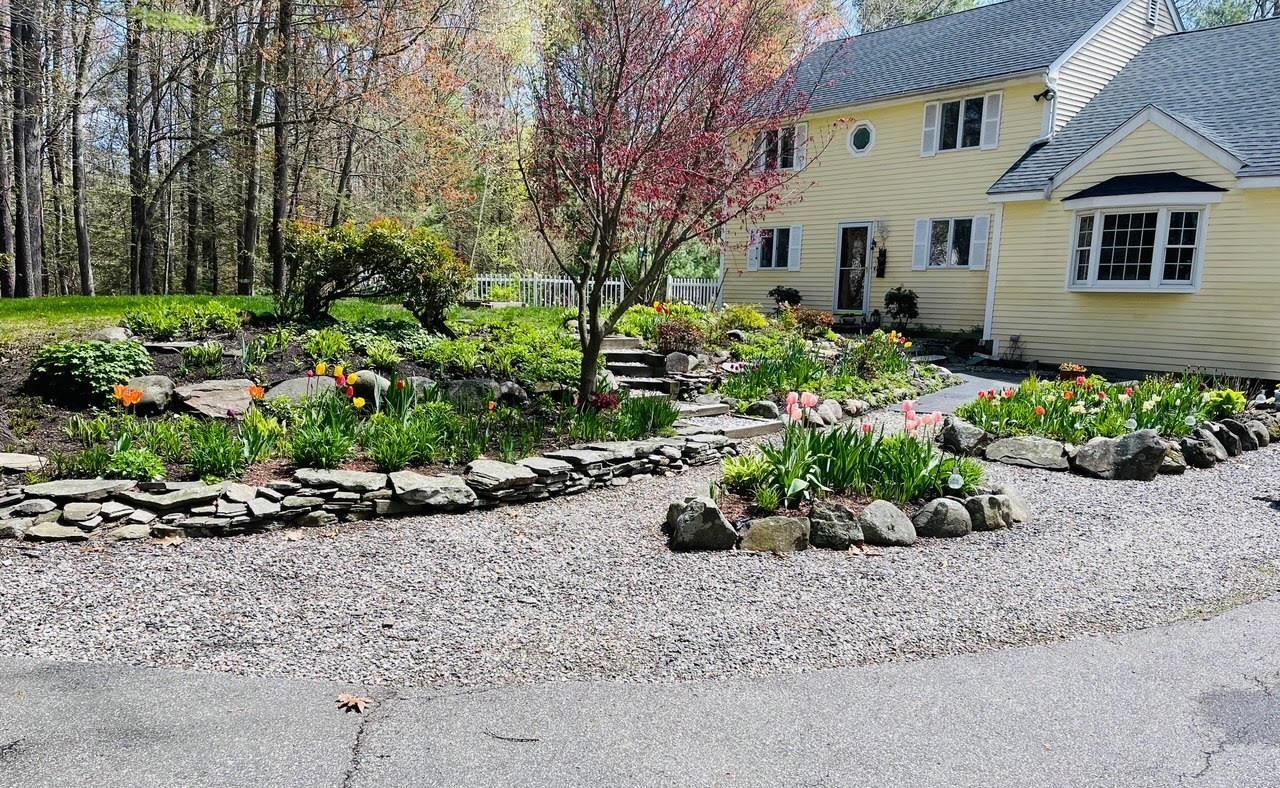 Image 3: Summer photo with gardens