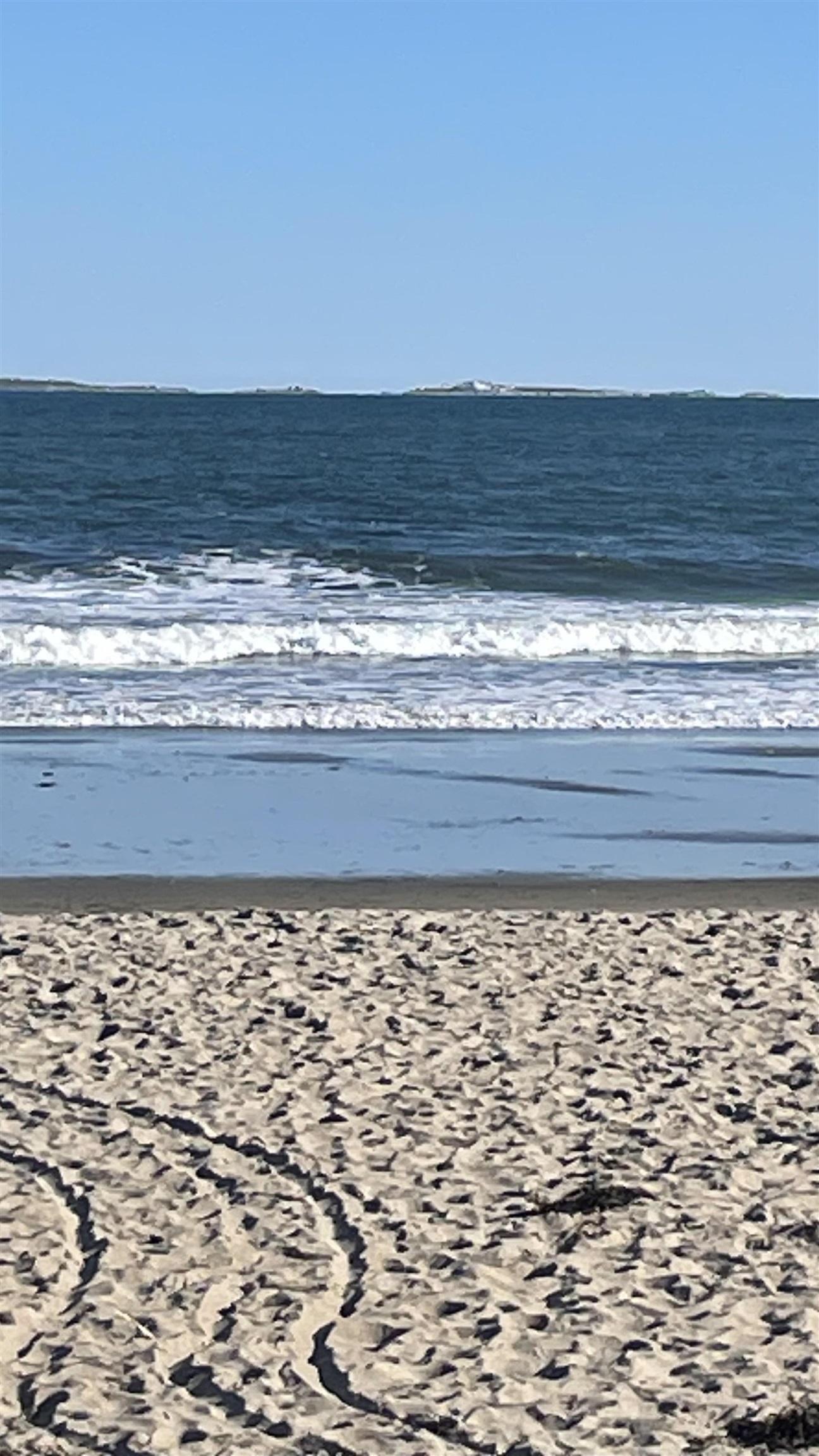 Image 1: Walk to the Beach in 3 minutes!