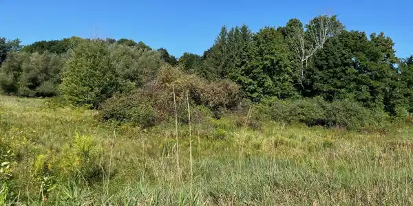 Lot 1 326 Knox Marsh Road