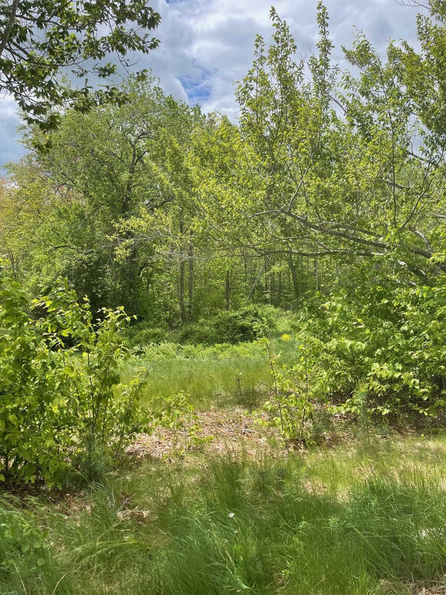 Image 0: Street View of 50' wide Right-of-way Image 0: Street View of 50' wide Right-of-way