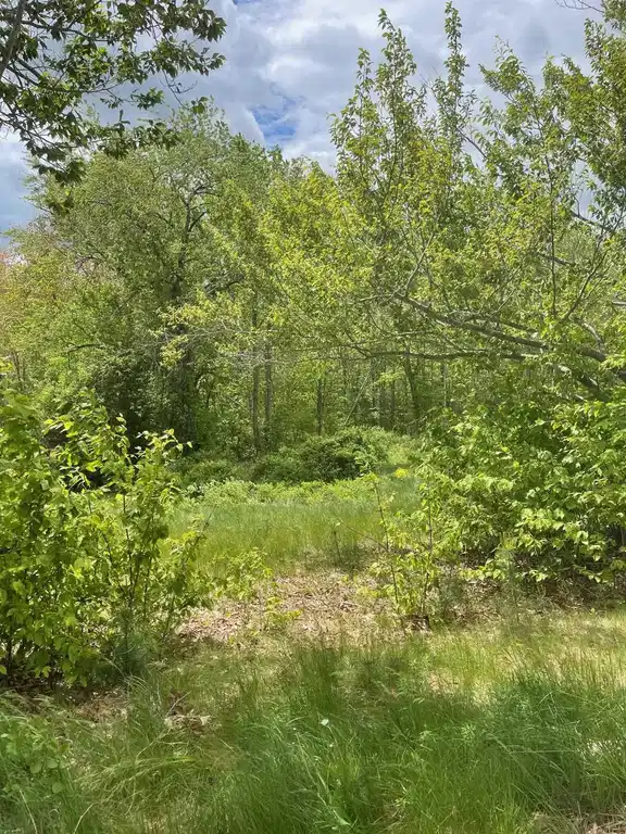 Image 0: Street View of 50' wide Right-of-way Image 0: Street View of 50' wide Right-of-way