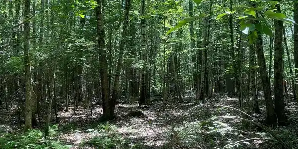 Image 3 Image 3