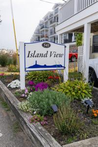 541 Ocean Boulevard