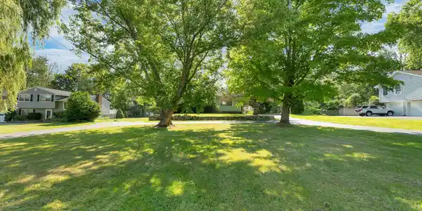 Image 4 Image 4