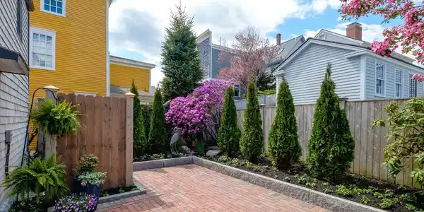 Image 4: New patio and gardens Image 4: New patio and gardens